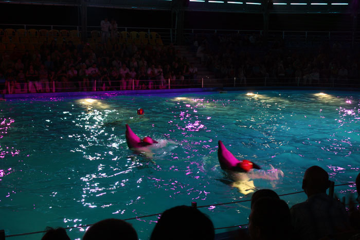 Ночное шоу дельфинарий «Немо»