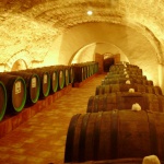 Центр культуры вина и Шабо